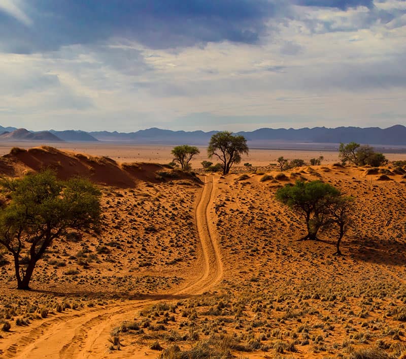 Aloe 4x4 Car Hire — image from its website
